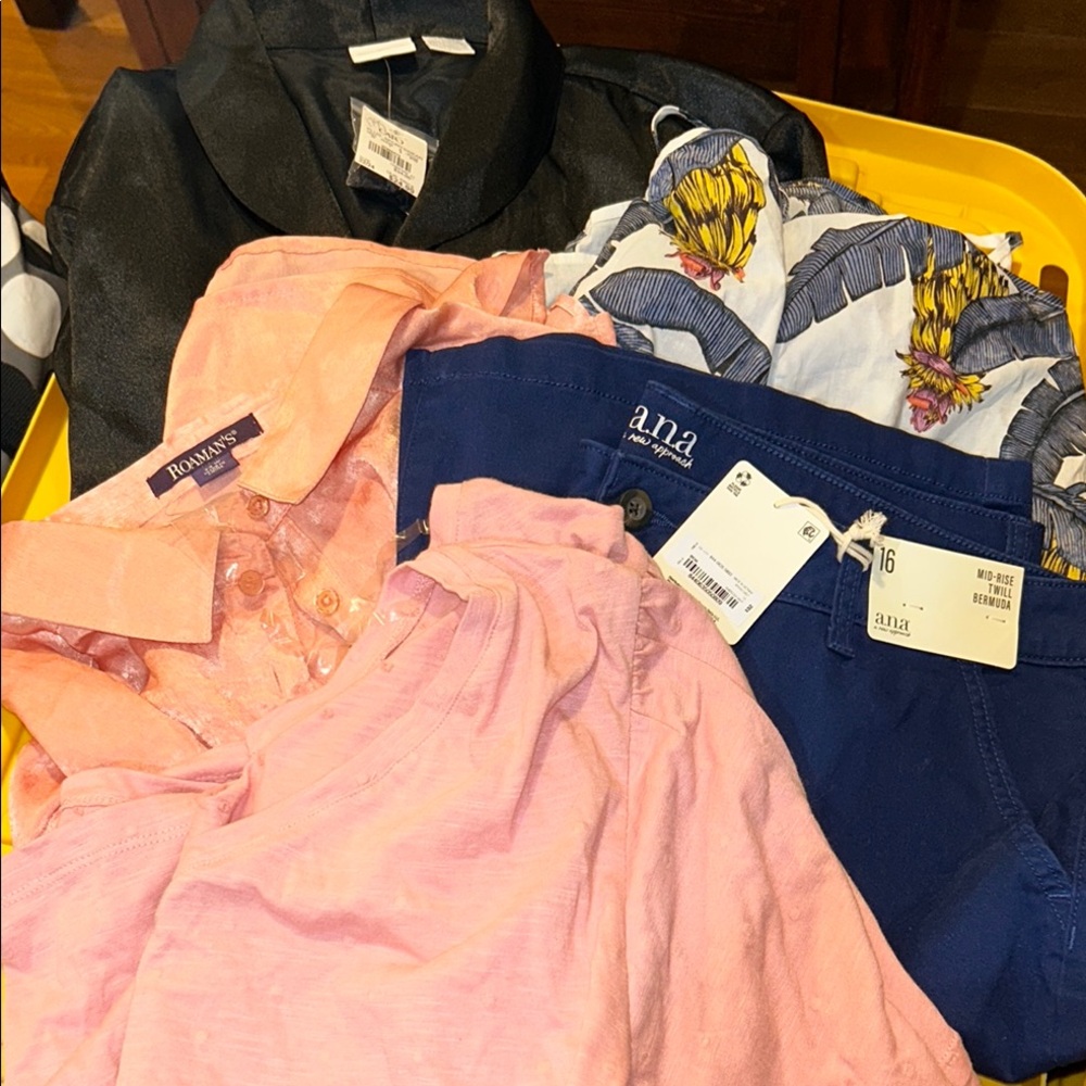 NWT plus size lot of clothing